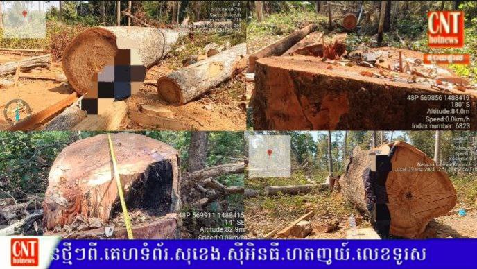 មហន្តរាយព្រៃឈេីដ៏ធំ​ កំពុងកើតមានឡេីង​ នៅតំបន់ដែនជម្រកសត្វព្រៃ ព្រៃឡង់ ខេត្តស្ទឹងត្រែង..