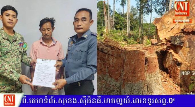 ឃាត់ខ្លួនជនសង្ស័យបានម្នាក់ ករណីកាប់រម្លំដើមឈើទាលធំៗ នៅខេត្ដស្ទឹងត្រែង