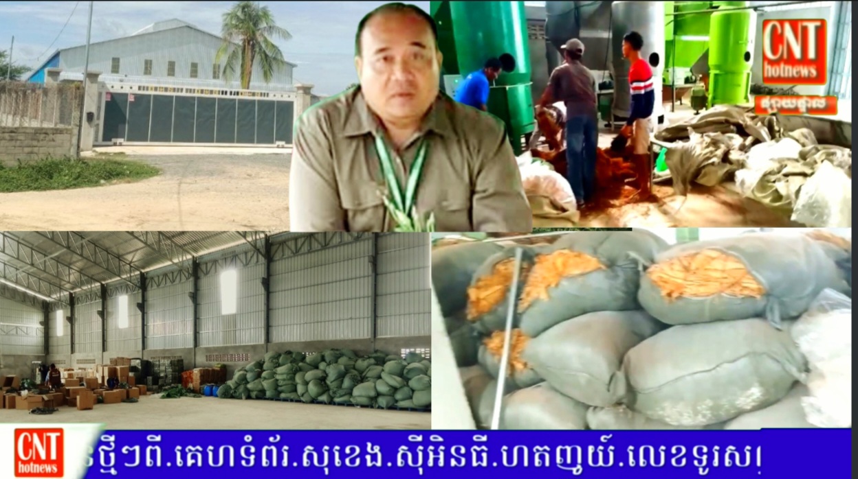 រោងចក្រកែច្នៃសន្លឹកថ្នាំជក់មួយកន្លែង នៅតែបន្តបំពុលបរិស្ថាន ធ្វើអោយប៉ះពាល់សុខភាពពលរដ្ឋ តែមន្ត្រីជំនាញមិនអើពើ និងមិនមានចំណាត់ការសោះ…