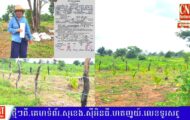 លោកស្រី ហ៊ានពៅ លក់ដីជាច្រើនហិកតា ឲ្យជនរងគ្រោះ ដោយសន្យានិងធានាអះអាងធ្វើប័ណ្ណ(ប្លង់រឹង) តែខុសការពិត…