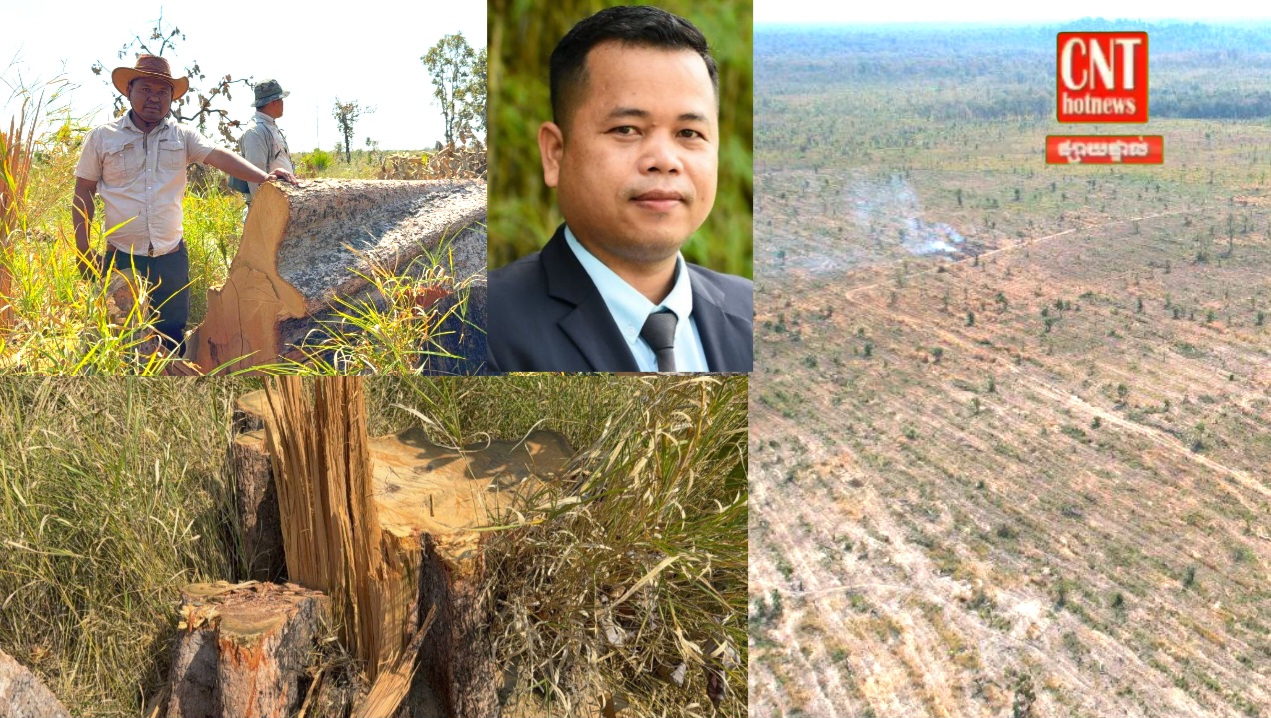 ដីព្រៃឡង់រាប់រយហិចតាត្រូវបានមេឈ្មួញ គុបគិតគ្នាដាក់គ្រឿងចក្រឈូសឆាយនឹងកាប់ទន្រ្ទានយកធ្វើជាកម្មសិទ្ធិ តែមន្រ្តីជំនាញបរិស្ដានហាក់គ្មានវិធានការអ្វីសោះ..