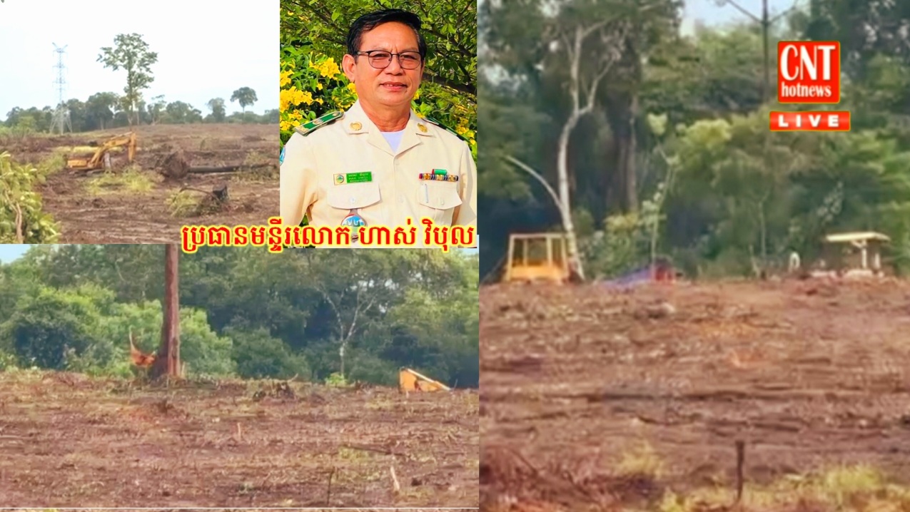 ព្រៃឈើត្រូវបានបំផ្លាញ់យ៉ាងរង្គាល ពីសំណាក់អ្នកមានលុយមានអំណាច យកគ្រឿងចក្រចូលទៅឈូកឆាយដូលរៀបដល់ដីជាច្រើនហិកតា ខណៈមន្ត្រីពាក់ព័ន្ធកំពុងរក្សាភាពស្ងៀមស្ងាត់..