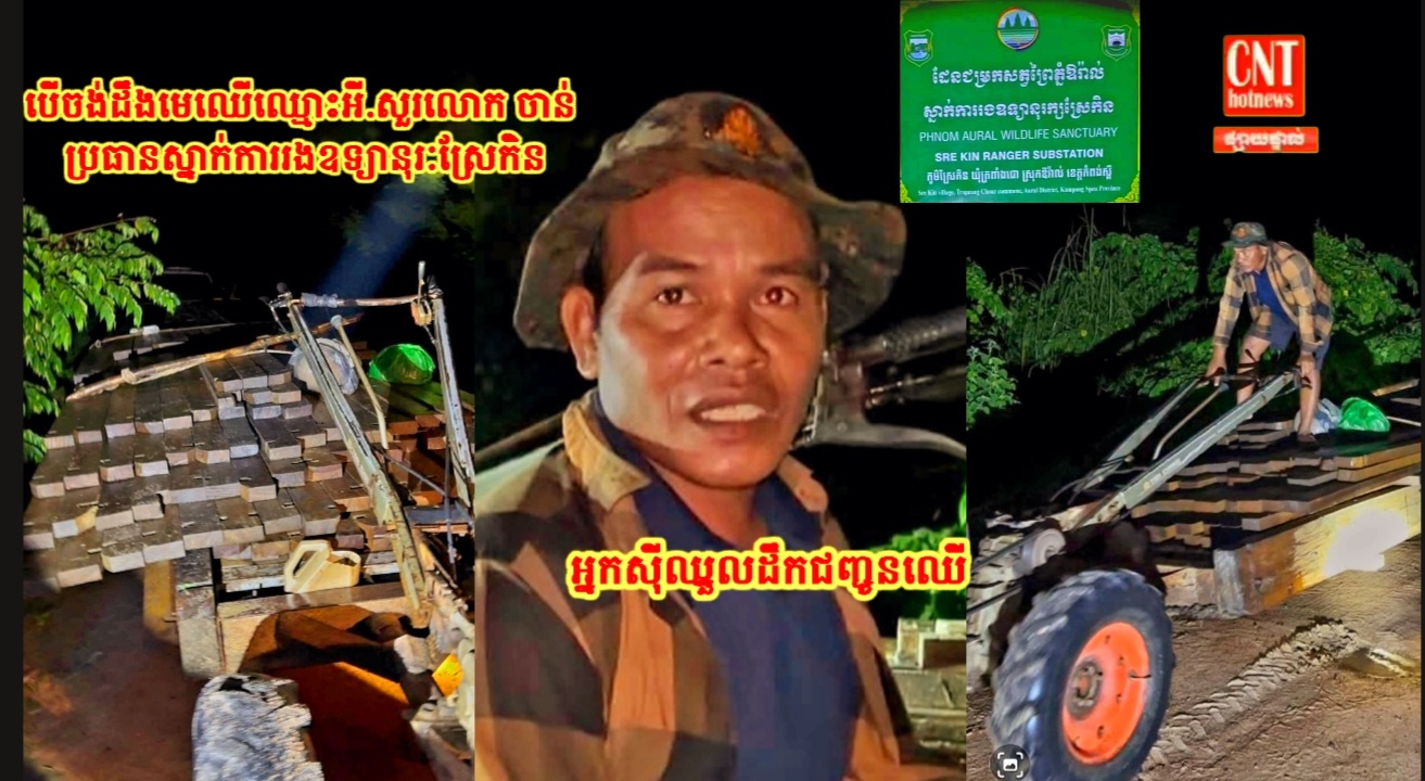 តើហេតុអ្វី.!លោក ចាន់ ប្រធានស្នាក់ការរងឧទ្យាននុរៈស្រែកិន. នៅតែបន្តឱ្យមានក្រុមឈ្មួញប្រព្រឹត្តបទល្មើសដឹកជញ្ជូនឈើចេញពីព្រៃកាត់មុខស្នាក់ការខ្លួនគ្រប់គ្រងទៅបាន..?